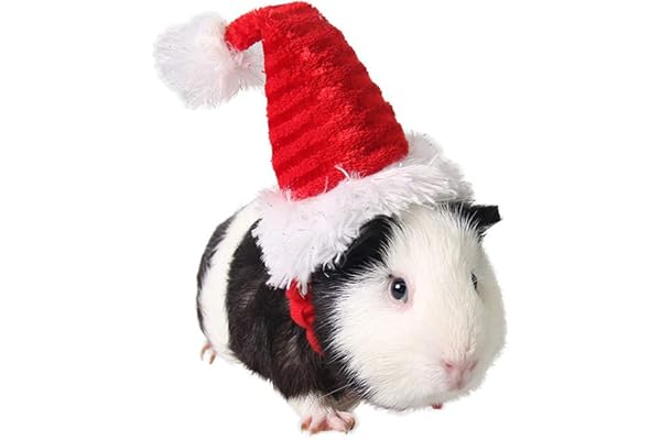 POPETPOP Costume Cochon Dinde - Chat Bonnet de Noel Bonnet de Noel de de Pere Cap Accessoires pour Lapin Hamster Dinde Cochon e