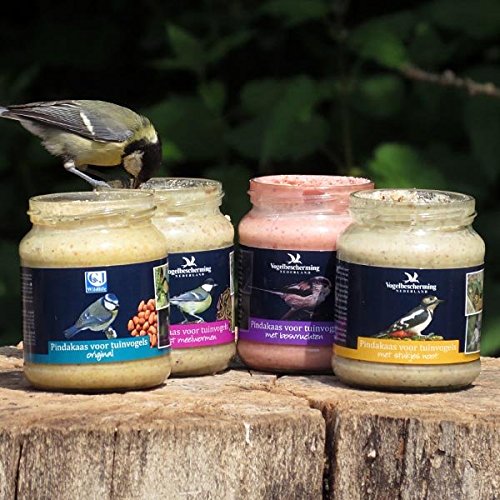 Erdnussbutter für Gartenvögel – Set (4 x 330g) - 2