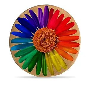DreamVio Round Cushion/Foam Cushion Velvet Fabric Suitable for Wheelchair, Car Seat, Home, Outing Purpose (Multicolour, 14 x 14 inch) Design 34