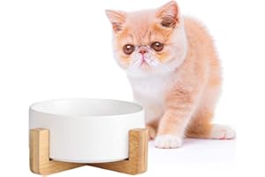 AHX Gamelle Chat - Gamelle Chien avec Support Bois - Gamelles pour Chats Chiens en Ceramique Facile à Nettoyer - Bol Chat Chiot pour la Nourriture et l'eau 480 ML