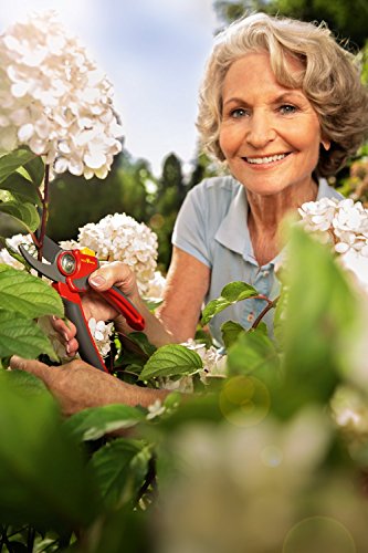 WOLF-Garten 2-schneidige Gartenschere »Premium Plus« RR 4000; 73AFA004650 - 4