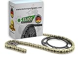 Goldene X-Ring Kette Deutsches Markenfabrikat von Esjot in doppelt verstärkter Ausführung für extreme Beanspruchung und hoher Laufleistung inklusive Niet Kettenschloss für einfach und schnelle Montage! ✅