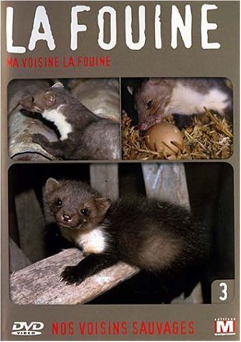 Book's Cover of Nos voisins sauvages  La fouine  Ma voisine la fouine