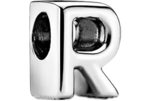 GHMIOU Dijes de plata de ley 925 para pulseras, collares, héroes de películas y flores, colgantes de dibujos animados, regalo de joyería para mujeres y niñas en Navidad, Plata esterlina, plata de ley