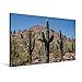 Produktbild Calvendo Premium Textil-Leinwand 90 cm x 60 cm Quer, Arizona Sonora Wüste | Wandbild, Bild auf Keilrahmen, Fertigbild auf Echter Leinwand, Leinwanddruck: Typische Landschaft Natur Natur