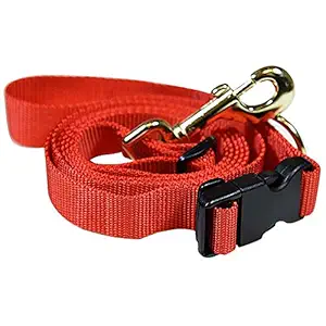 Heads Up For Tails Adjustable Nylon Braided Dog Leash - Red - L