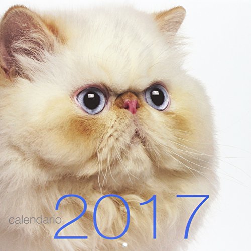Gatti. Calendario 2017 libro