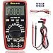 Price comparison product image RAGU 81D Auto Ranging Digital Multimeter, 4000 Count AC/DC Voltage/Current Resistance Temperature Diode Continuity Tool, Electronic Test Meter/Measuring Instrument