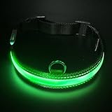 Leuchtendes Halsbänder, LaRoo™ Blinkender LED Hunde Sicherheits Halsband Hundehalsband Nylon Leuchtender Nacht Hundeband mit USB Wiederaufladbarem Leuchtendes Hellem Sicherheits Halsband für Hunde, Haustier - L 2.5*45-63cm (Metall-Haken)