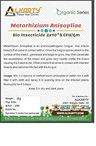 Metarhizium Anisopliae Bio Insecticide, 1kg for palnt