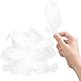 Tabanzhe 100 White Dreamy Feather Decorations for DIY Dream Catcher Costumes Wedding and Holiday Crafts - Assorted Natural Carnival/Wedding/Party Decorations Supplies(White)