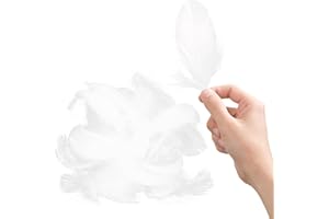 Tabanzhe 100 White Dreamy Feather Decorations for DIY Dream Catcher Costumes Wedding and Holiday Crafts - Assorted Natural Carnival/Wedding/Party Decorations Supplies(White)