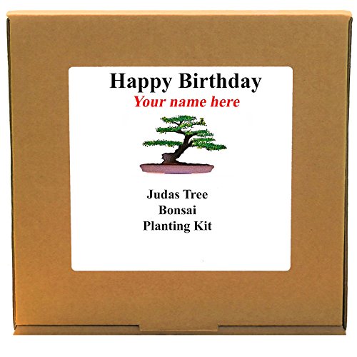 Personalised Happy Birthday Judas Bonsai Tree Planting Kit Unusual Indoor |  Desertcart Fiji