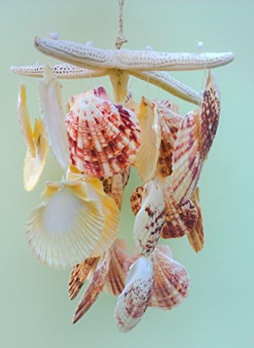 Real Seashell Windchimes Starfish Hanging Scallop Shell Nautical Wind Chimes