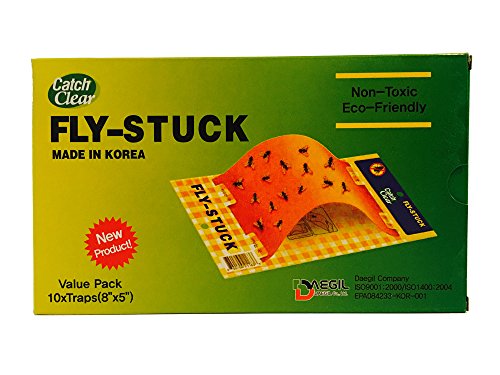 FLY-STUCK - Fliegenfalle Mottenfalle Fruchtfliegenfalle - Einweg Ungiftig Klebrig geklebt Papier - Wertpaket 10 (20 x 13 cm)