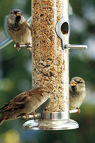 dobar 11520 Großer Futterspender mit vier Futterplätzen für Vögel, XL Futterstation-Futtersäule für Wildvögel zum Aufhängen, 9.5 x 9.5 x 39 cm, metall - 3