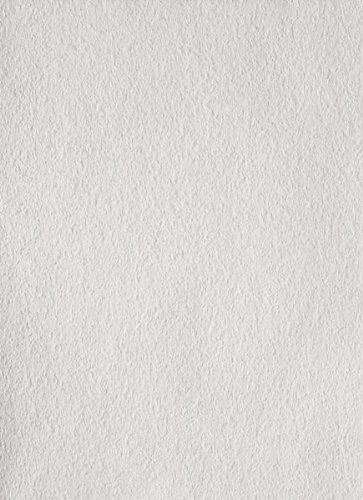 Erfurt Rauhfaser 20 Fein Weiß (33,5m x 0,53 m = 17,76 m²) 1 x Rolle