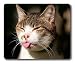 Produktbild Online Designs TRUE Pinterest Square mouse pad silicone Printing pads 9 * 7.5inch