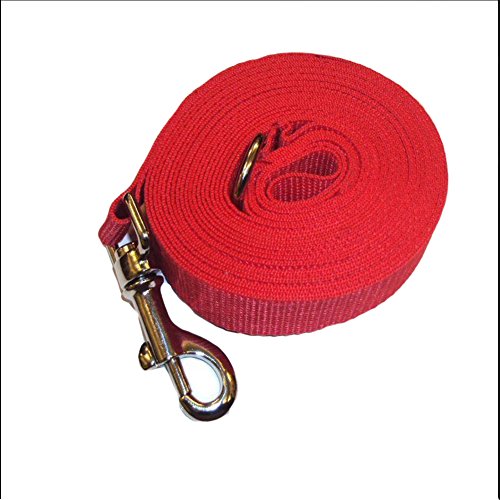 10 metre dog training lead
