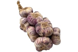 BONNEBOUFFE Purple Garlic 1kg