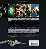 Image de Marine World