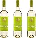 Produktbild Cuatro Rayas Verdejo 'NaveSur' Rueda DO 2015 Trocken  ( 3 x 0.75 l)