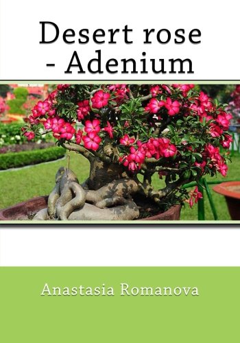 Preisvergleich Produktbild Desert rose-Adenium