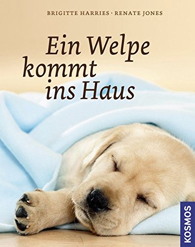 Download Ein Welpe kommt ins Haus