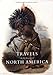 Travels in the Interior of North America During the Years 1832-1834 (Taschen specials) by 