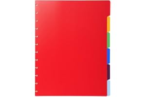 Exacompta 86002e – 6 divisori di ricambio per cartelle A4 ad anelli, multicolore