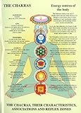 Image de Chakras: Their Characteristics, Associations and Reflexzones