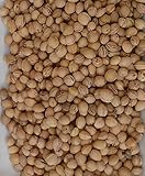 5 KG lose Kirschkerne