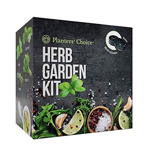 Kit de Cultivo de Hierbas Orgánicas + Molinillo de Hierbas - Kit Completo para Cultivar Fácilmente 4 Hierbas con Semillas (Albahaca, Cilantro, Cebolletas y Perejil) con Guía Completa | Regalo único