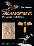 Image de Archaeopteryx: Der Urvogel von Solnhofen