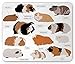 Produktbild Guinea Pig Mouse Pad, Infographic Design Classification for Types of Rodent Breeds, Sand mber and Ginger