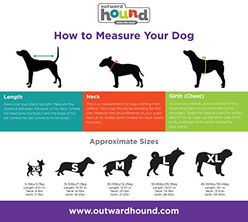 Outward-Hound-DayPak-Dog-Backpack