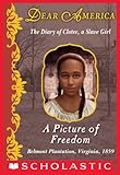 Dear America: A Picture of Freedom (English Edition) by