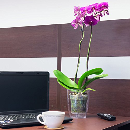 Blumentopf Übertopf Orchidee H 18,5 cm Coubi transparent Topf - 3