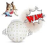 Linda bola con perro gruñendo, rebota y sacude el sensor de movimiento con el perro. El cachorro lo sentirá, no solo como una muñeca tranquila y extremadamente emocionado de perseguir, morder, provocar sudoración y correr.