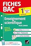 Fiches bac Enseignement scientifique 1re (tronc commun): nouveau programme de Première 2019-2020