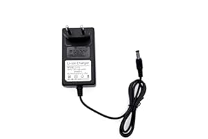 JZK DC 21 Volt 1.5 A Plug Power Supply Wall Plug, 21 V 31.5 W AC to DC Adapter, 1500 mA Power Supply Charging Adapter Replacement for Workzone Battery Drill for Battery Grass Trimmer with Indicator