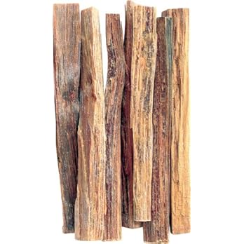 Light My Fire Anzndhilfe Maya