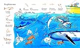 Image de 1 001 choses à trouver dans la mer - Autocollants Usborne