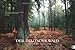 Der deutsche Wald - Ein literarischer Spaziergang 2013: Mit Zitaten deutscher Klassiker by 