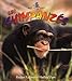 Produktbild FRE-LES CHIMPANZES (Le Petit Monde Vivant / Small Living World, Band 47)