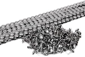 ARTAPISSERIE.FR 10 bandes de clous tapissier nickelé 9,5mm lentille fer + 200 clous (Aluminium brossé)