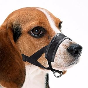 Perro hocico perro formación amigable hocico ajuste fácil para perros ajustable perro mascota boca cubierta bocas anti-mordiscos Barking cómodo perro bozal máscara