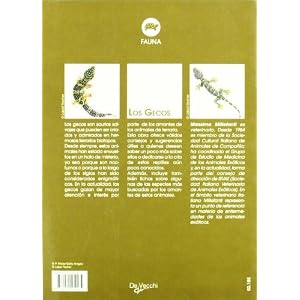 Los gecos (Animales)