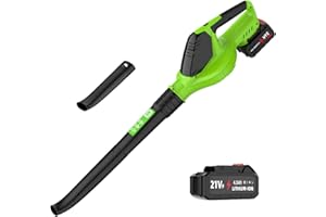 CARZIYER Soplador Aspirador de Hojas con batería de 21 V, Aspirador Hojas Jardin 3000 W, soplador de Hojas Potente de 5 velocidades, soplador de Nieve para jardín y Cuidado del