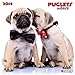 Puglets 2014 What a Wonderful World: Möpse by